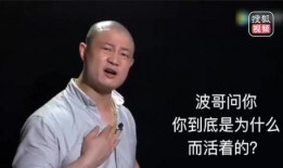 爆料波哥励志视频大全最新,点燃梦想，砥砺前行的力量源泉